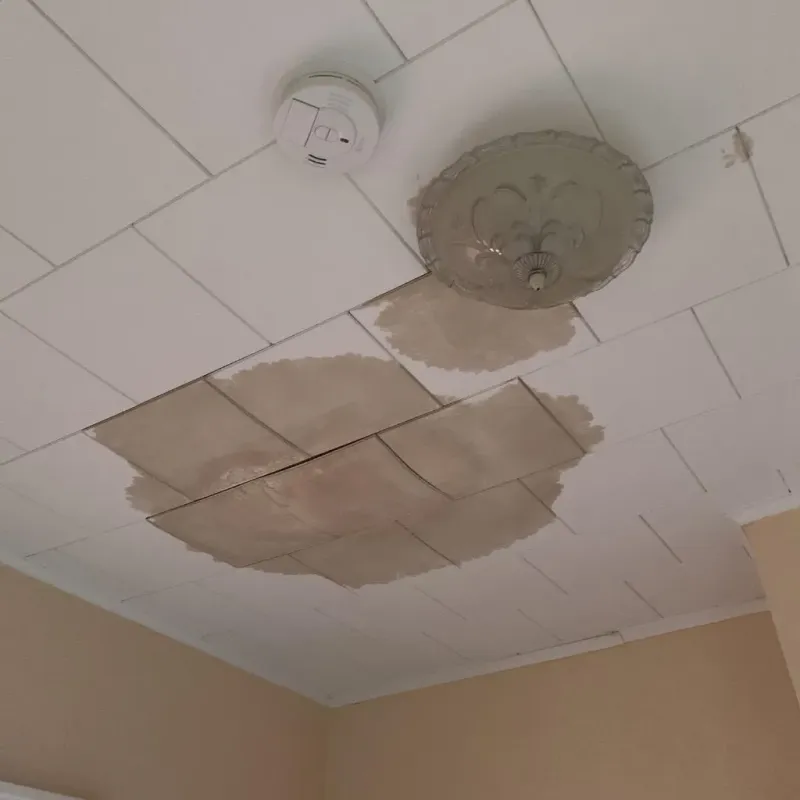 Ceiling Water Damage Repair in Dalton, MA